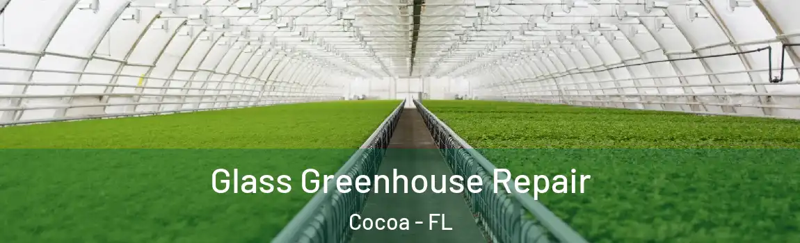  Glass Greenhouse Repair Cocoa - FL