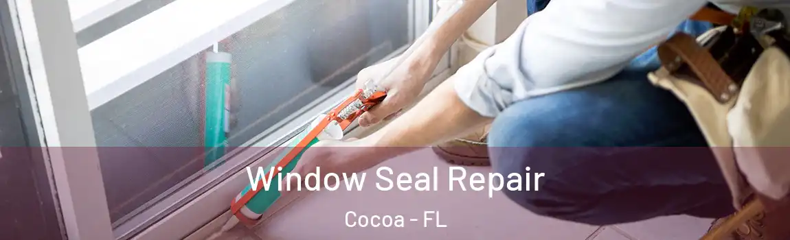 Window Seal Repair Cocoa - FL